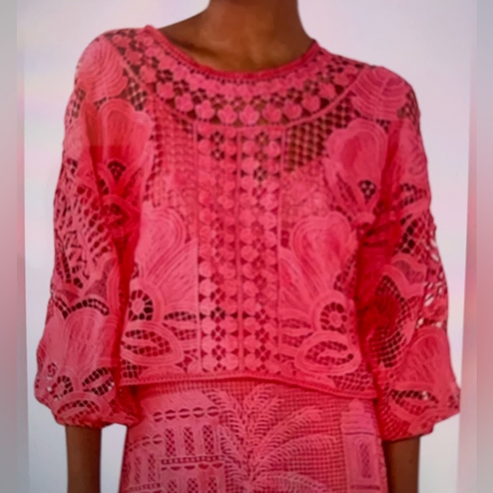 Farm Rio Boohoo Alucina Puff-Sleeve
Guipure Pink Crop Top Size Small